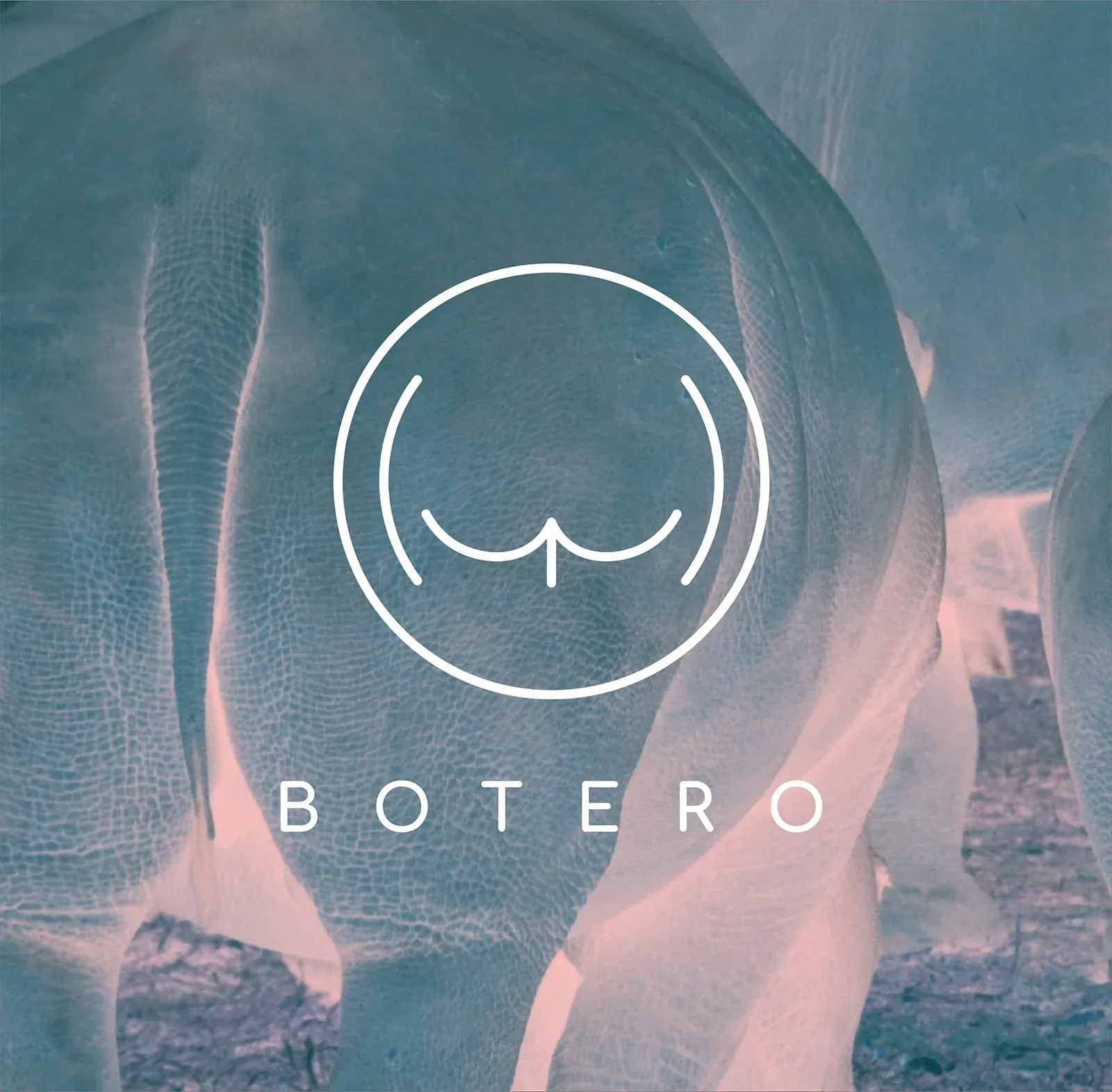 Botero — Artsy Logos