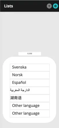 Language switcher popup